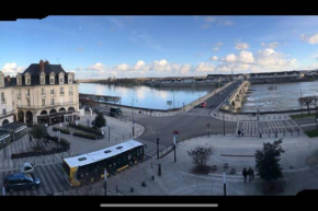 Les Mansardes du centre ville ,vue Loire